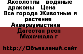 Аксолотли / водяные драконы › Цена ­ 500 - Все города Животные и растения » Аквариумистика   . Дагестан респ.,Махачкала г.